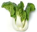 Pak Choi Seeds, Canton White Stem, Chinese Cabbage, Brassica rapa subsp. chinensis, Fast Growing Vegetable Seeds