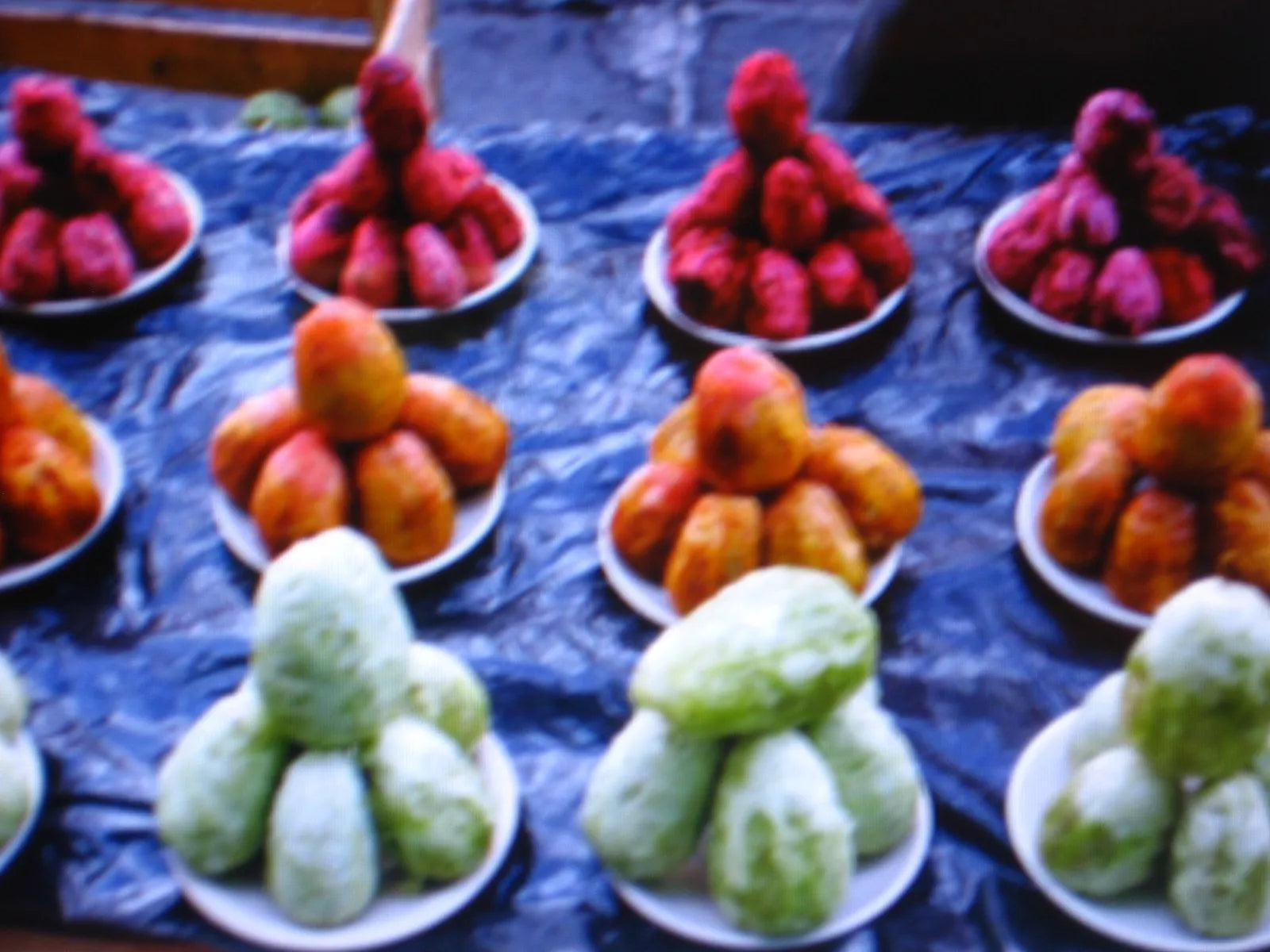 Edible Cactus Seeds Pack – Opuntia (Prickly Pear) Fruit & Pads – Grow Your Own Cactus Plants with Harvesting & Recipe Guide