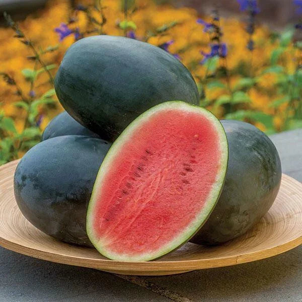 Little Darling Watermelon Seeds - Citrullus lanatus, 50 Pack, Home Garden, Juicy, Sweet, USA Grown, Free Shipping