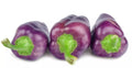 Purple Pepper Seeds - 100+ Capsicum Annuum for Growing, Cooking & Seasoning - Versatile Garden & Container Planting