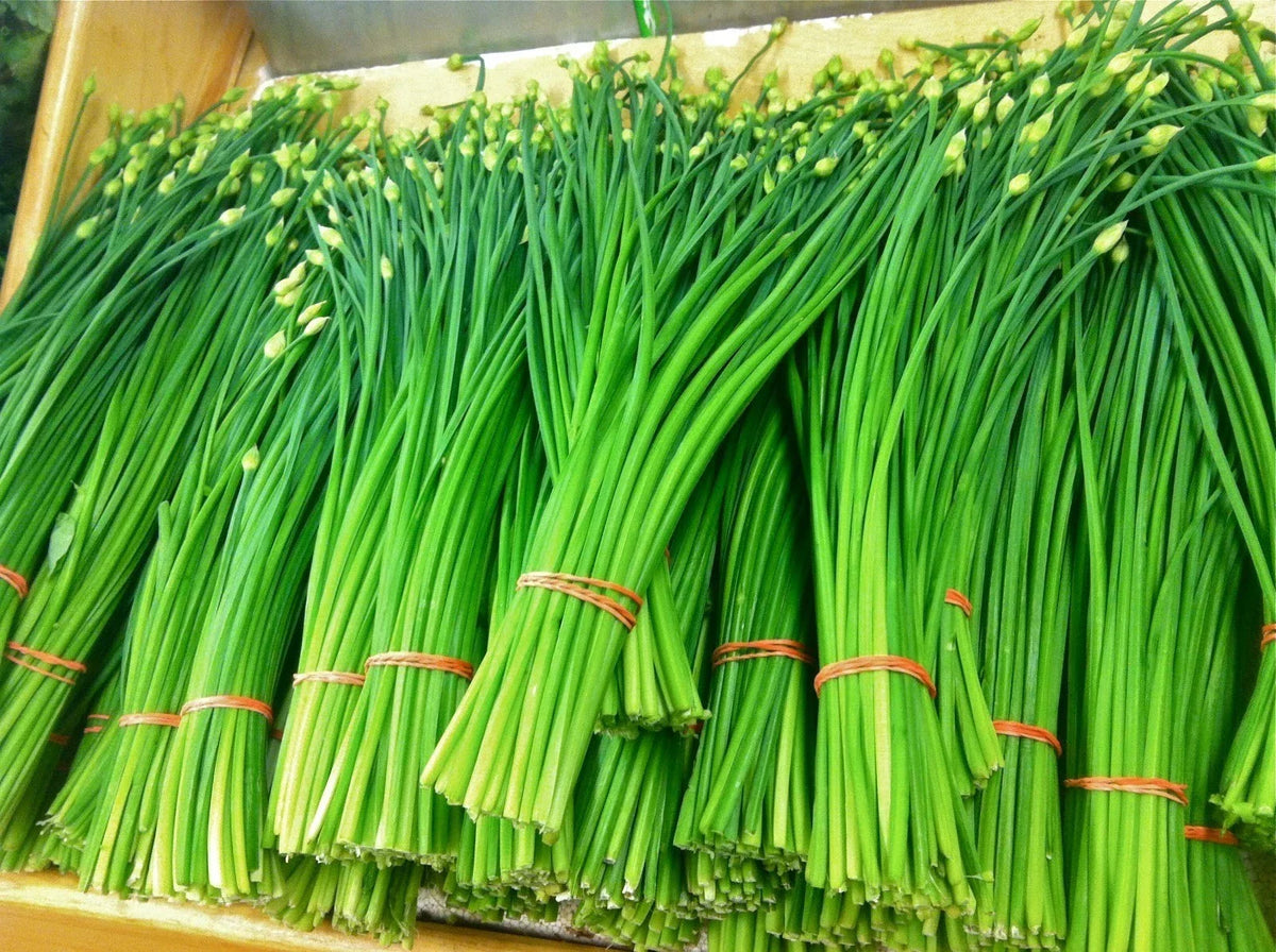 Organic Garlic Chives Seeds - Heirloom Non-GMO Perennial Culinary Herb - Allium tuberosum, 200+ Seeds