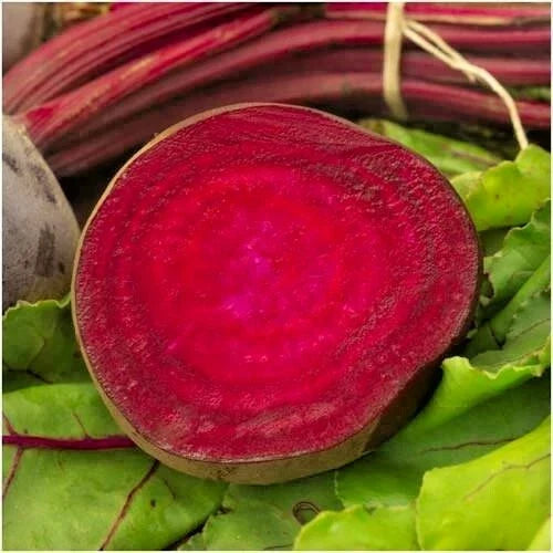 Bulls Blood Beet Seeds - Heirloom Beta vulgaris Vegetable Seeds for Garden & Patio - Easy to Grow, 101+ Pack