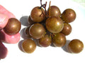 Muscadine Grape Seeds - Bronze Carlos Variety - Vitis rotundifolia - Climbing Vine for Fresh Eating & Wine Making