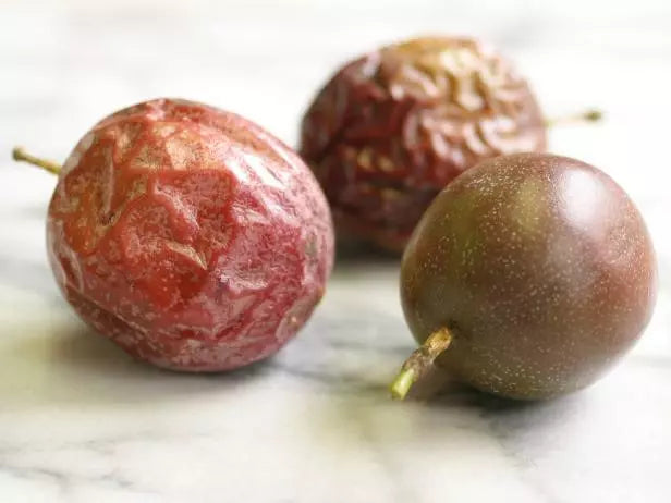Purple Passionfruit Live Plant 5" Starter Passiflora Edulis Pesticide-Free Climbing Vine