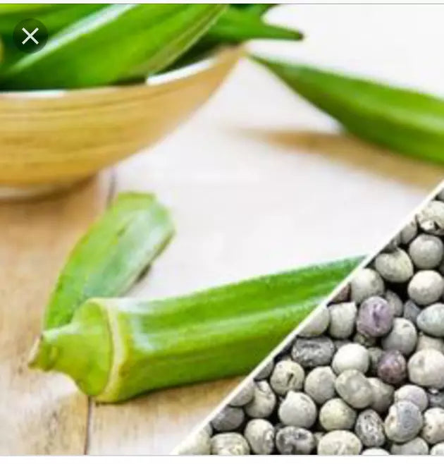 Texas Longhorn Okra Seeds - Heirloom Abelmoschus esculentus, 50+ or 100+ seed pack, heat-tolerant, bushy plant, vegetable garden, drought resistant