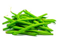 Green Bean Seeds Pack | Provider Bush Beans | Non-GMO, USA Grown, Phaseolus vulgaris, Compact Growth