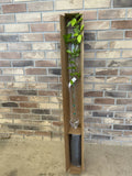 Sweet Valencia Citrus Tree in Pot, 4 Ft Budded Orange Tree, Citrus sinensis, Garden Patio Fruit Tree