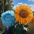 Giant Teddy Bear Sunflower Seeds - 50pcs Blue & Yellow Helianthus annuus for Garden, Borders & Cut Flowers