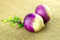 American Purple Top Rutabaga Seeds - Organic Non-GMO Brassica napus for Home Gardening, Nutritious Roots