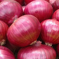 Red Grano Onion Seeds - Heirloom Non-GMO Vegetable Seeds for Garden - Allium cepa