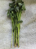 Beauregard Sweet Potato Slips - 20 Live Cuttings for Planting - Ipomoea batatas - High-Yielding, Easy to Grow, Organic