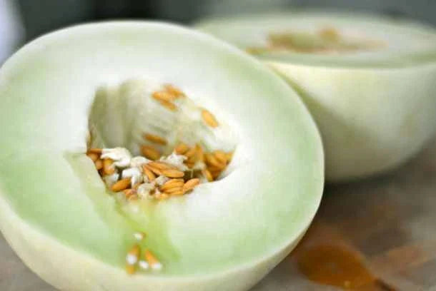 Green Flesh Honeydew Melon Seeds - Cucumis melo, 25+ Premium Non-GMO Seeds for Home Garden, Juicy, Sweet Melons