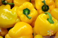Canary Bell Sweet Pepper Seeds - 25+ Non-GMO Capsicum annuum Vegetable Seeds for Garden & Container Planting