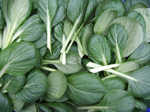 Tatsoi Seeds 300+ Count – Brassica rapa var. rosularis, Leafy Green, Mustard Spinach, Rosette, Non-GMO, USA