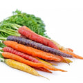 Rainbow Carrot Seeds for Planting, Non-GMO Heirloom Vegetable Seeds, Daucus carota, 750 Count