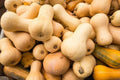 Butternut Squash Seeds - 10 Pack, Winter Squash, Cucurbita moschata, Bush/Vine, Organic, Heirloom, Garden Planting