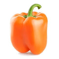 Organic Orange Sun Sweet Bell Pepper Seeds – Capsicum annuum, Non-GMO, Heirloom, Vegetable Seeds for Home Garden, 30+ Premium Seeds