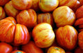 Old German Tomato Seeds - Heirloom Solanum lycopersicum, Juicy Large Fruits, Indeterminate, High Germination, Container & Garden Planting
