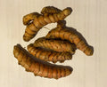 Fresh Turmeric Roots 8 Pack for Planting, Organic Curcuma longa for Gardening, Culinary & Natural Remedies