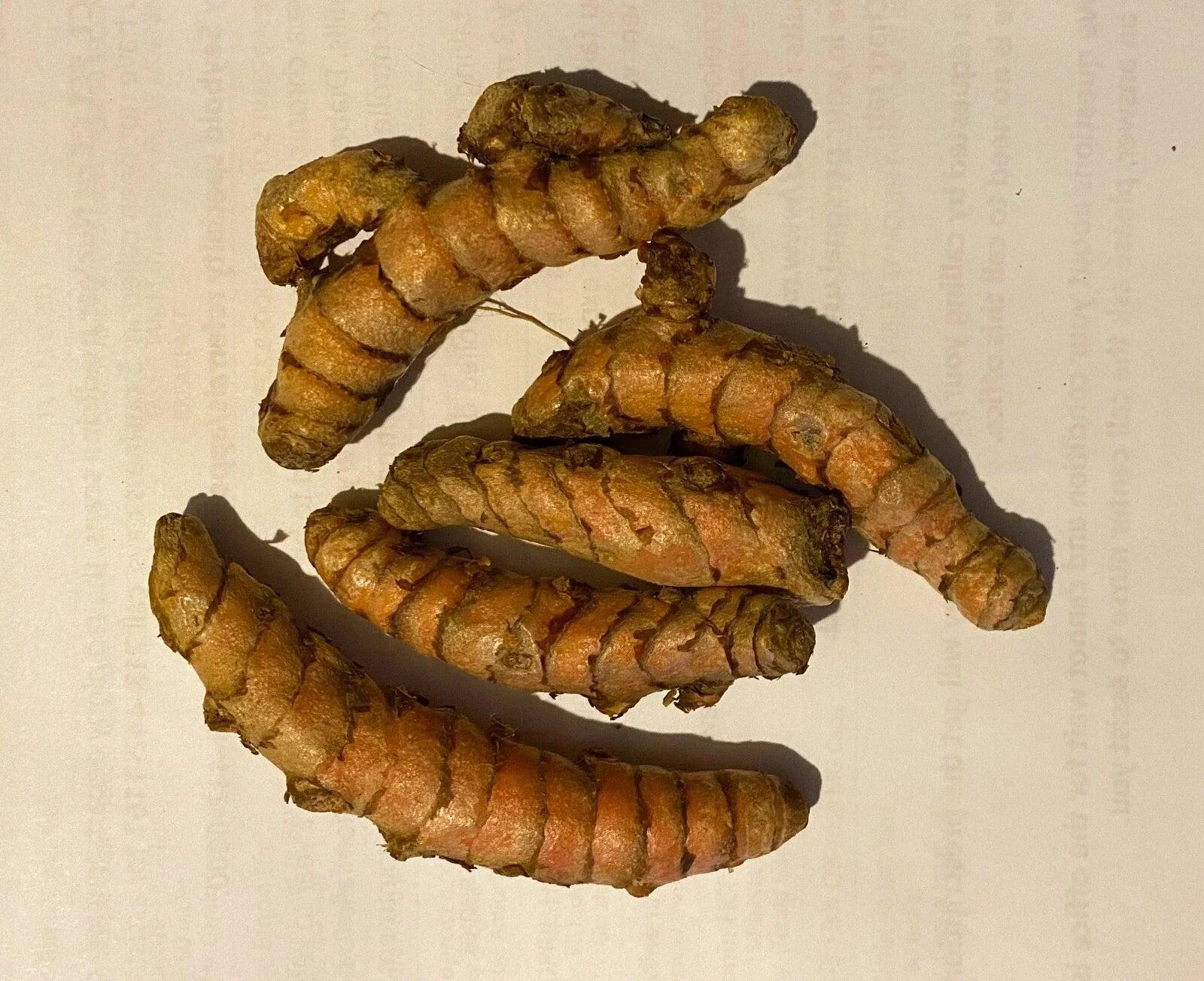 Fresh Turmeric Roots 8 Pack for Planting, Organic Curcuma longa for Gardening, Culinary & Natural Remedies