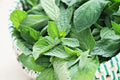 Spearmint Seeds - Mentha spicata Herb for Culinary & Tea - 100+ Premium Seeds for Garden & Indoor Growing