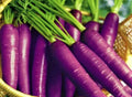 Cosmic Purple Carrot Seeds - Non-GMO Heirloom Variety - Daucus carota - 200+ Packets for Home Garden, Colorful Root Vegetable