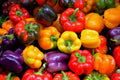 Rainbow Sweet Bell Pepper Seeds - 50 Count, Colorful Capsicum annuum Variety for Home Gardening