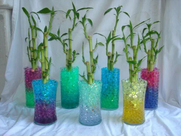 Water Beads for Lucky Bamboo Plants - Hydrating Soil Moisture Retainer - Non-Toxic Gel Beads for Healthy Roots