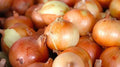 Candy Onion Seeds - Allium cepa, Fresh Onion Seed Packet for Home Gardening, Sweet Mild Flavor, Non-GMO, Easy to Grow