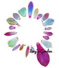 Succulent Plant Leaves for Propagation - Assorted Varieties with Bonus Leaves - Indoor & Outdoor Gardening Supplies