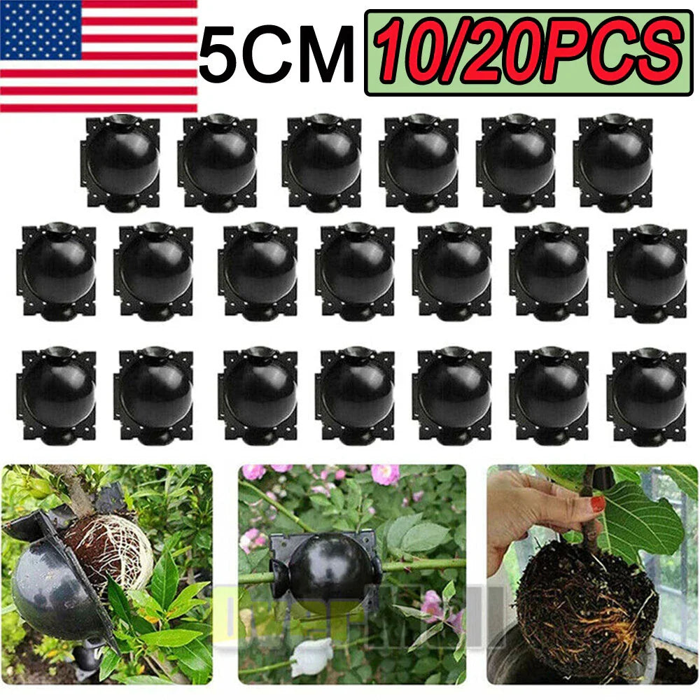 Plant Rooting Devices Set – 10/20X High Pressure Propagation Grafting Boxes for Cuttings & Seedlings