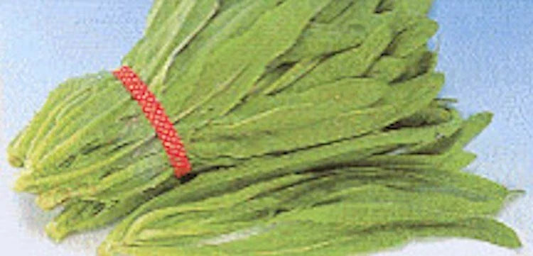 Sword Leaf Lettuce Seeds - 2000 Non-GMO Pointed Leaf "A Choy" for Home Gardening, Salad & Stir-Fry, Lactuca sativa