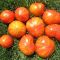 Mr. Stripey Tomato Seeds 25 Count Heirloom Non-GMO Indeterminate Vegetable Solanum lycopersicum