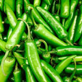 Serrano Pepper Seeds - Heirloom Non-GMO Capsicum annuum for Gardening & Cooking, Spicy Peppers, Seed Packet