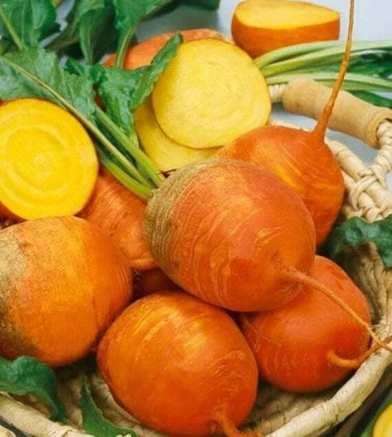 Golden Detroit Beet Seeds - Non-GMO Beta vulgaris for Home Gardening, Sweet Golden Beets, Packaged Vegetable Seeds