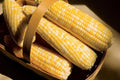 Sweet Corn Seeds - Ambrosia Variety, Non-GMO, Heirloom, Zea mays, Full Sun, 100 Seeds