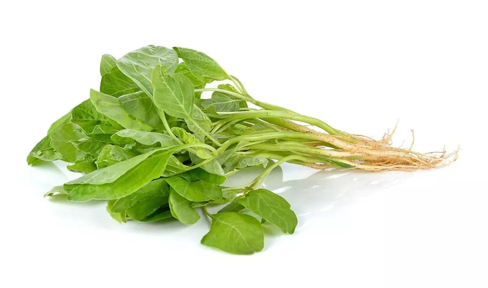 Green Chinese Spinach Seeds - 100+ Amaranthus viridis Edible Leaf Vegetable for Garden or Container Planting