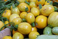 Yellow Globe Squash Seeds - 25+ Pack, Cucurbita pepo, Non-GMO, USA Grown, Garden Planting, Compact Bush, Free Shipping