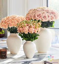 Sand Pink Carnation Seeds - 200+ Dianthus caryophyllus Garden Flower Seeds for Planting, Full Sun, Pink Blooms