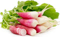 French Breakfast Radish Seeds - Organic, Non-GMO, Fast-Germinating Raphanus sativus for Salad & Container Gardening