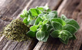 Oregano Seeds - 150 Count for Culinary Herb Gardening - Origanum vulgare