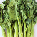 Chinese Broccoli Seeds 500+ Count for Home Garden, Gai Lan Brassica oleracea var. alboglabra, Easy to Grow