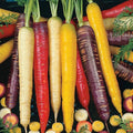 Rainbow Carrot Seeds Mix - Heirloom, Non-GMO, Colorful Blend for Home Garden, Over 100 Seeds, Daucus carota