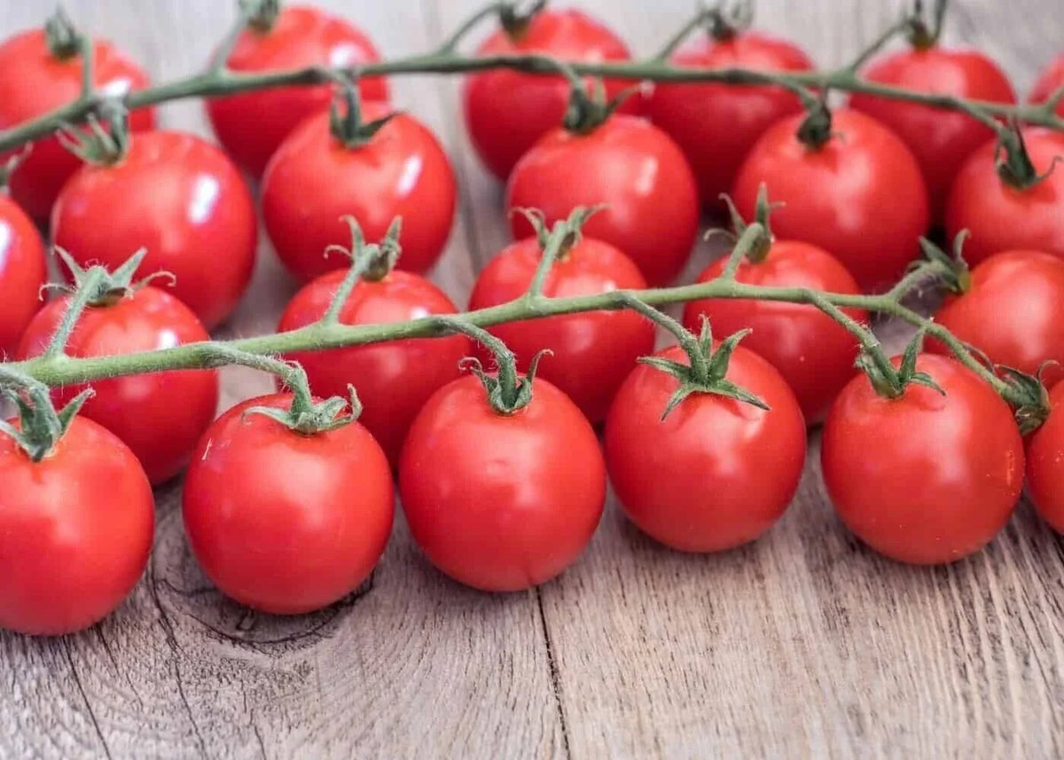 Sweetie Cherry Tomato Seeds - Organic Non-GMO Heirloom Solanum lycopersicum, Bite-sized, Sweet Cherry Tomatoes, Ideal for Garden & Container