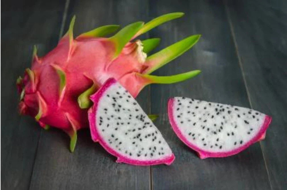 White Dragon Fruit Seeds - Hylocereus Undatus, 50+ Non-GMO Pitaya Seeds for Home Gardening & Container Planting