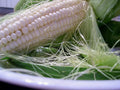Silver Queen Sweet Corn Seeds - F1 Hybrid, White Sweet Corn, Zea mays, Non-GMO, Garden Seeds for Full Sun, Free Shipping