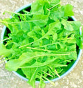 Arugula Seeds - 2500+ Non-GMO Microgreens for Salad Greens - Eruca sativa Vegetable Seeds
