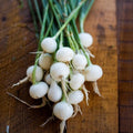Crystal White Wax Pearl Onion Seeds - Allium cepa, Pickling & Cocktail Onions, High Yield Vegetable Seeds, Small Round Onion Seeds