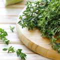 Thyme Seeds | Heirloom Non-GMO Culinary Herb | Thymus vulgaris Seed Pack for Garden & Cooking