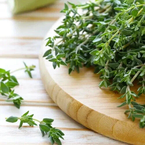 Thyme Seeds | Heirloom Non-GMO Culinary Herb | Thymus vulgaris Seed Pack for Garden & Cooking